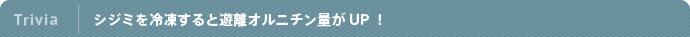 Column|シジミを冷凍するとオルニチン量がUP!