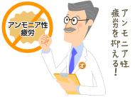 アンモニア性疲労を抑える！