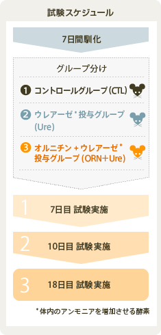 試験スケジュール