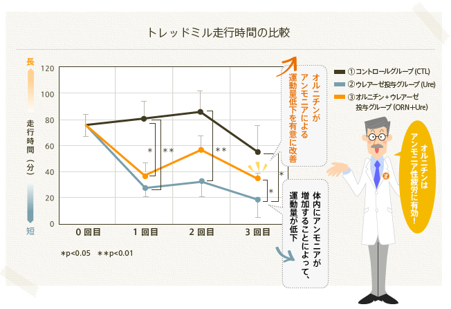 トレッドミル走行時間の比較