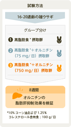 オルニチン 試験方法