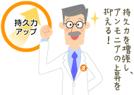 持久力を増強し、アンモニアの上昇を抑える！