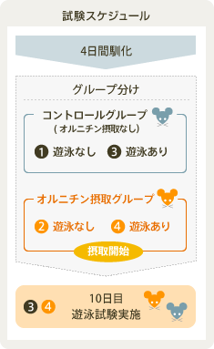 試験スケジュール
